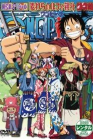 One Piece Special: The Detective Memoirs of Chief Straw Hat Luffy