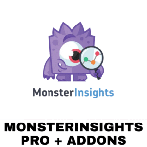 MonsterInsights Pro + Addons