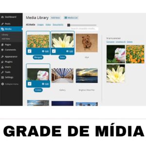 Grade de mídia